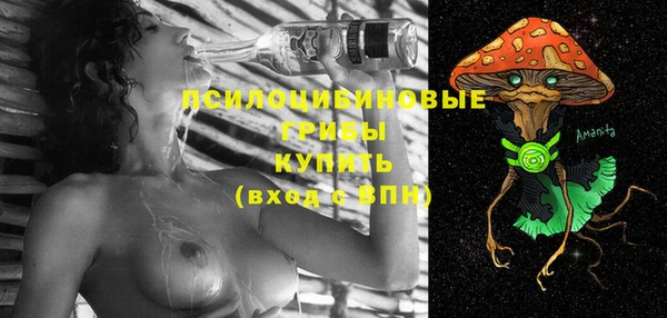 винт Арсеньев