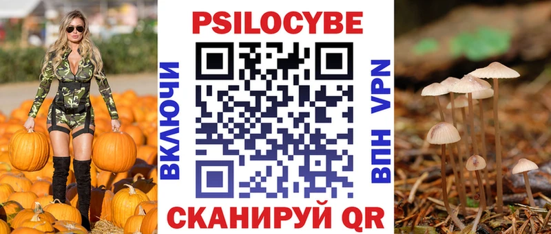 как найти   Киреевск  ссылка на мегу ссылки  Псилоцибиновые грибы MAGIC MUSHROOMS 